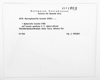 Image Associated With the Occurence
